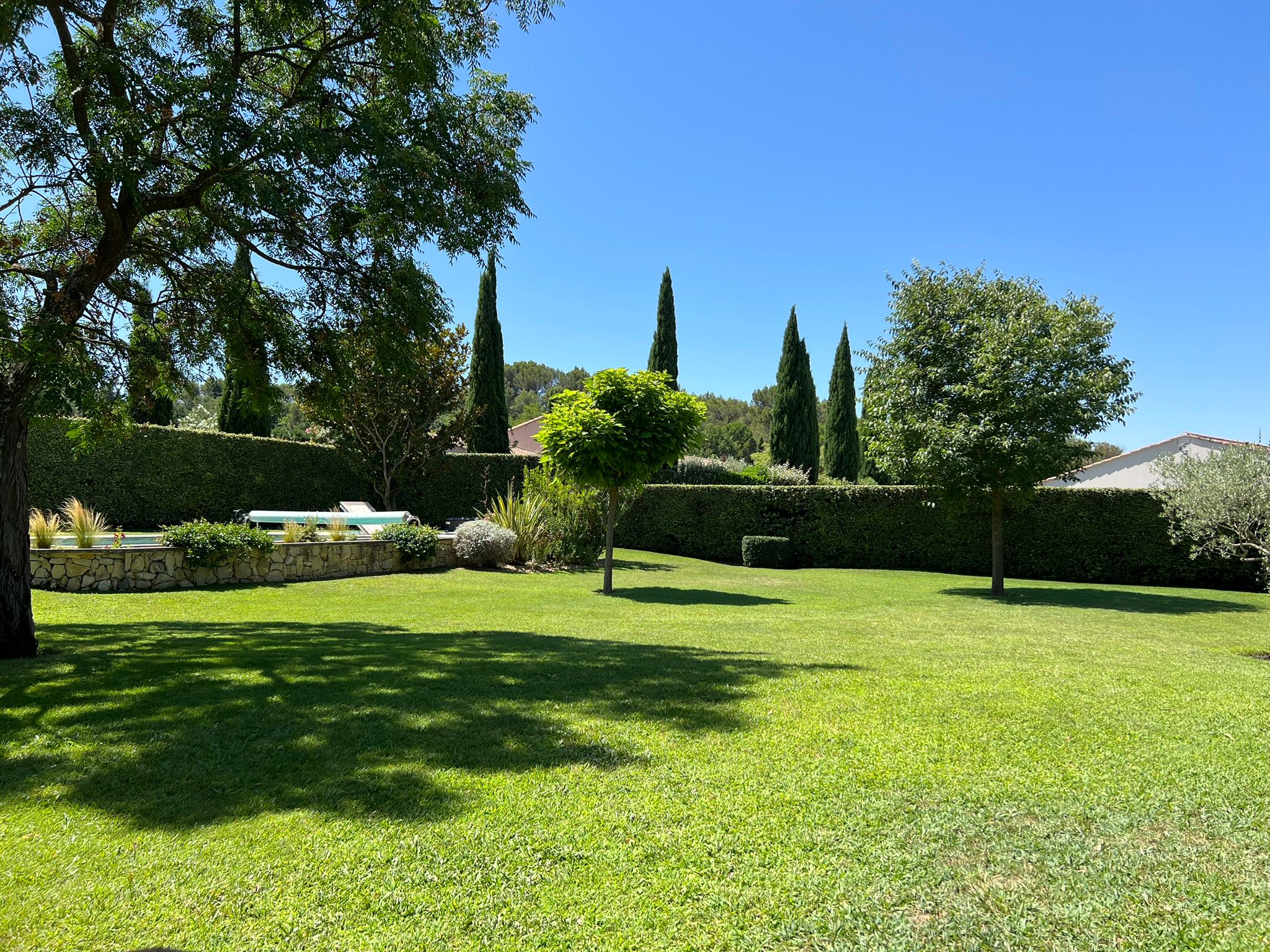 Jardin avec une pelouse tondue