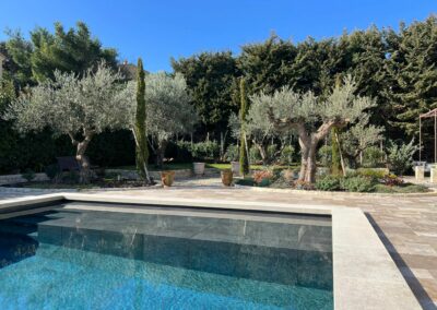 Vue d'un massif rocailleux avec un olivier centenaire en proximité d'une piscine