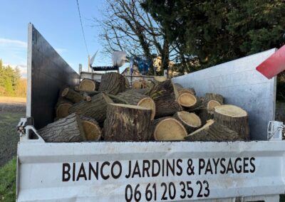 Bois d'un arbre abattu tronçonné et chargé dans la benne du camion
